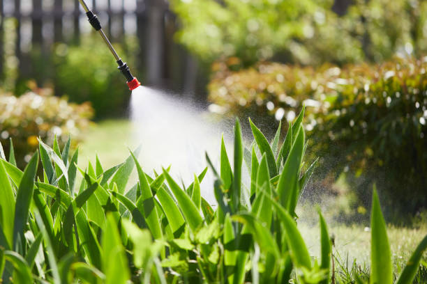 24/7 Emergency Mosquito Control experts in Baldwin, NY